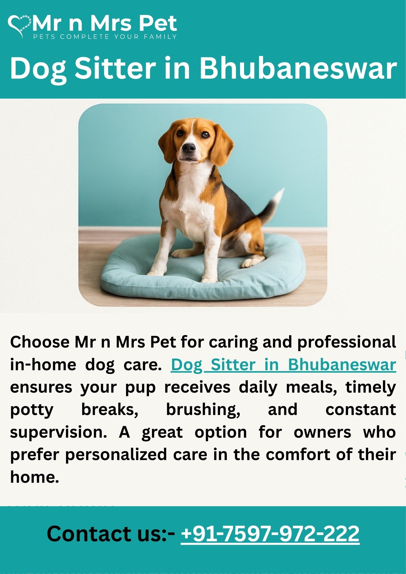 Dog Sitter in Bhubaneswar
